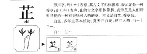 芷 姓名學|芷